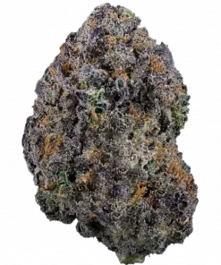 Black Sherbet, tatlı şerbet aroması ve yüksek THC içeriğiyle bilinen bir indica türüdür. Derin rahatlama ve uyku için ideal. Genetik yapısını keşfedin.