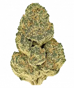 Black Triangle, lavanta aroması ve yüksek THC içeriğiyle öne çıkan güçlü bir Indica türüdür. Yoğun rahatlama ve potansiyel faydalarını keşfedin.