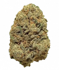 Black Widow, yüksek THC'si ve öforik etkisiyle bilinen Sativa baskın bir türdür. Topraksı ve baharatlı aromasıyla dikkat çeker. Özelliklerini keşfedin.