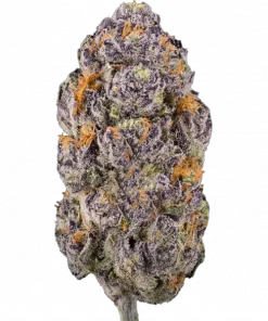 Black Zruntz, tatlı meyvemsi aromaları ve dengeli etkisiyle öne çıkan indica dominant bir türdür. Zkittlez ve Gelato genetiğini keşfedin ve detaylıca görüntüleyin.