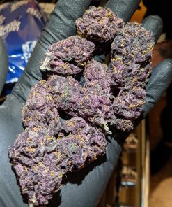 Blackberry Auto Fem Esrar Tohumu (Fast Buds)