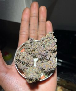 Blackberry Auto Fem Esrar Tohumu (Fast Buds)