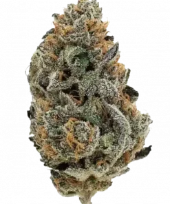 Blackberry Kush, tatlı meyve aromaları ve rahatlatıcı etkileriyle bilinen Indica baskın bir türdür. Uykusuzluk ve stres için ideal. Özelliklerini keşfedin.