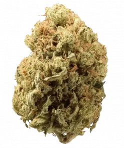 Blackberry Moonrocks, böğürtlen ve lavanta aromalarıyla öne çıkan indica dominant bir türdür. Yüksek THC içeriğiyle dikkat çeker. Etkilerini keşfetmek için tıklayın!