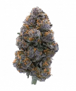 Blackberry Pie, yaban mersini aroması ve dengeli etkisiyle öne çıkan 50/50 hibrit türdür. Ağrı ve mide bulantısına iyi gelir. Genetik yapısını keşfedin.