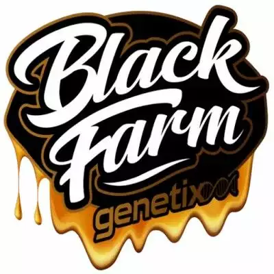 BlackFarm Genetix