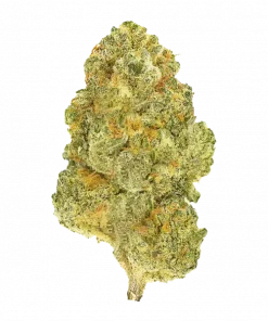 Blenders, tatlı elma aroması ve yüksek THC içeriğiyle öne çıkan Indica dominant bir türdür. Yaratıcılığı tetikleyen bu özel türü keşfedin ve genetik yapısını görüntüleyin.