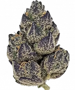 Blissful Wizard, ekşi elma aroması ve THC ile ciğere vuran bir hibrit türdür. Dengeli genetiğini ve eşsiz etkilerini keşfedin.