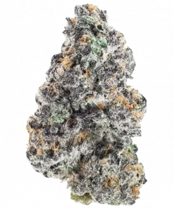 Block Monster, üzüm ve yakıtımsı aromalarıyla öne çıkan Indica ağırlıklı bir türdür. Rahatlatıcı etkileriyle bilinen bu hibriti keşfedin ve genetik yapısını görüntüleyin.