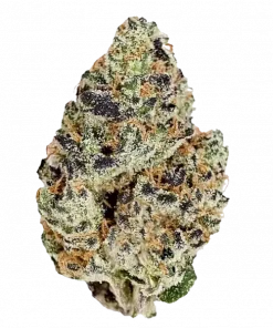 Blockberry, yakıtımsı ve tatlı meyve aromalarıyla öne çıkan dengeli bir hibrit türdür. Yaratıcılığı artıran etkileriyle bilinir. Özelliklerini keşfedin.