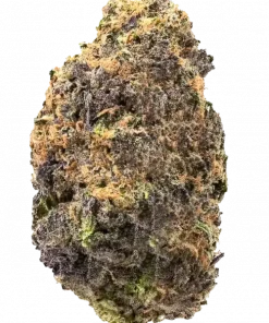 Blood Berries, tatlı meyve aromaları ve yüksek THC içeriğiyle bilinen dengeli bir hibrit türüdür. Stres ve kaygı giderme potansiyelini keşfedin.