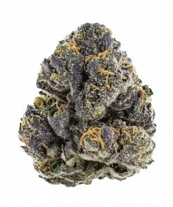 Blood Cherry, tatlı meyve aromaları ve yüksek Sativa etkisiyle bilinen özel bir türdür. Crockett Family Farms imzalı bu hibriti keşfedin ve genetik yapısını görüntüleyin.