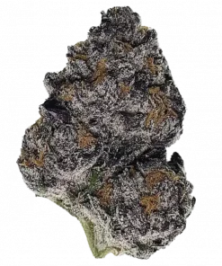 Blood Cherry Gak, yakıtımsı aroması ve yüksek THC içeriğiyle öne çıkan dengeli bir hibrit türdür. Rahatlatıcı etkilerini keşfedin ve genetik yapısını görüntüleyin.