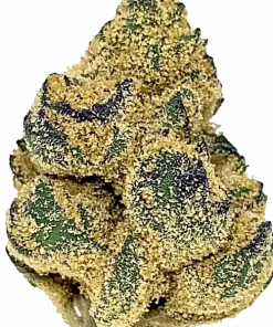 Blood Orange, turunçgil aromaları ve yüksek verimiyle bilinen Sativa baskın bir türdür. Enerji verici etkilerini ve genetik yapısını keşfedin.