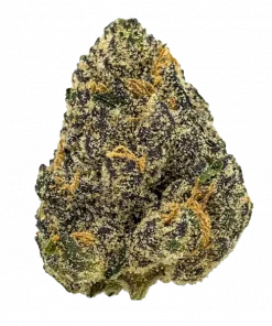 Blow Pops, kayısı aromaları ve yüksek THC içeriğiyle bilinen Indica baskın bir hibrit türüdür. Güçlü etkilerini ve genetik yapısını keşfedin.