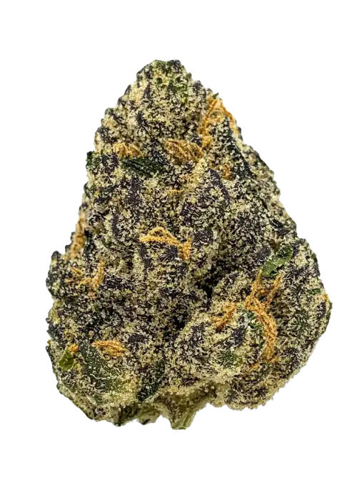 Blow Pops, kayısı aromaları ve yüksek THC içeriğiyle bilinen Indica baskın bir hibrit türüdür. Güçlü etkilerini ve genetik yapısını keşfedin.