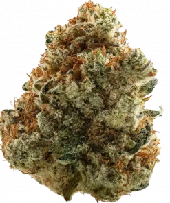 Fugu, şekerli aroması ve rahatlatıcı vücut etkisiyle öne çıkan dengeli bir türdür. Sert lezzeti ve uzun süren etkileriyle keşfedin.