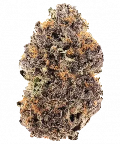 Blue Andes, böğürtlen ve nane aromalarıyla öne çıkan indica baskın bir türdür. Rahatlatıcı ve canlandırıcı etkileriyle bilinen bu eşsiz türü keşfedin.