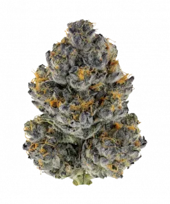 Blue Balloon, tatlı meyve aromaları ve THC içeriğiyle öne çıkan Sativa baskın bir türdür. Enerji verici etkilerini ve genetik yapısını keşfedin.