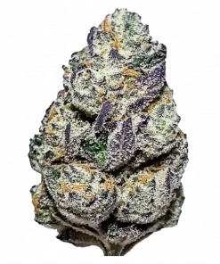 Blue Biscotti, tatlı yaban mersini aroması ve THC içeriğiyle öne çıkan indica baskın bir türdür. Rahatlatıcı etkileri ve genetik yapısını keşfedin.