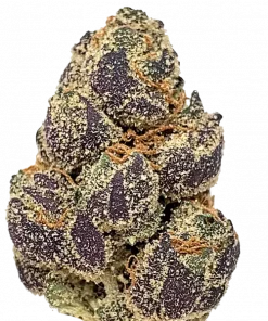 Blue Blockers, tatlı yaban mersini aroması ve yüksek THC içeriğiyle öne çıkan Indica ağırlıklı bir türdür. Derin rahatlama ve potansiyel faydalarını keşfedin.