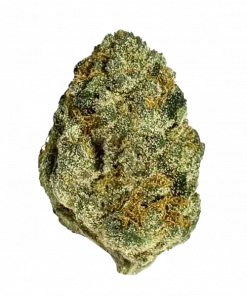 Blue Burst, taze meyve aromaları ve 'e varan THC içeriğiyle öne çıkan hibrit bir türdür. Canlandırıcı etkileri ve eşsiz lezzetini keşfedin.