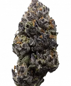 Blue Candy, yaban mersini aromaları ve dengeli yapısıyla öne çıkan bir hibrit türdür. Orta seviyedeki THC içeriğiyle ideal bir seçenektir. Özelliklerini keşfedin.