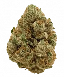 Blue Cheese, yaban mersini aroması ve rahatlatıcı etkisiyle bilinen Indica baskın bir türdür. Yüksek verim potansiyeliyle öne çıkar. Özelliklerini keşfedin.