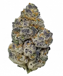 Blue Cookies, yaban mersini aroması ve yüksek THC içeriğiyle öne çıkan Indica baskın bir türdür. Rahatlatıcı etkileriyle bilinen bu türü keşfedin.