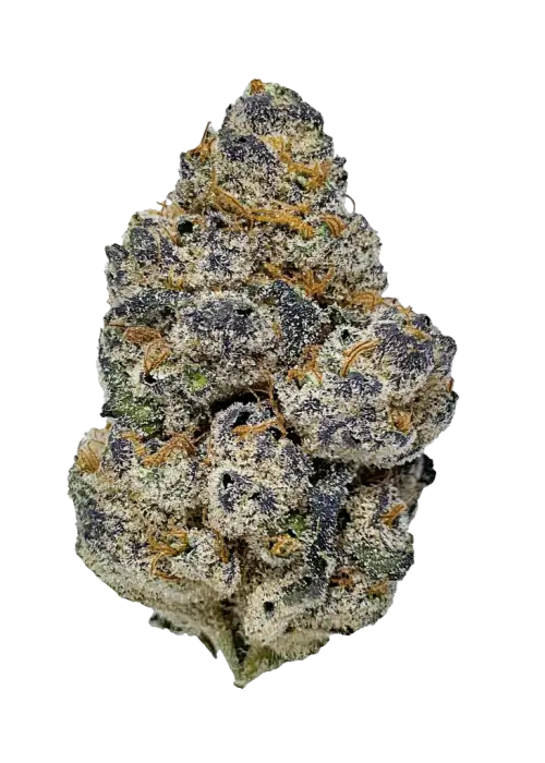 Blue Cookies, yaban mersini aroması ve yüksek THC içeriğiyle öne çıkan Indica baskın bir türdür. Rahatlatıcı etkileriyle bilinen bu türü keşfedin.