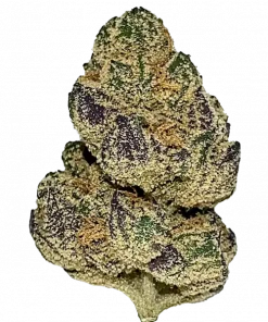 Blue Diesel, yakıtımsı ve yaban mersini aromalı, yüksek THC'li Indica baskın bir türdür. Yaratıcılığı artıran ve rahatlatan etkilerini keşfedin. Hemen görüntüleyin.