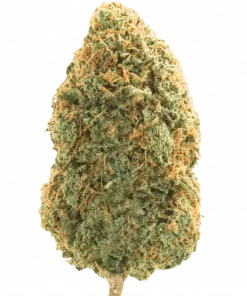 Blue Dream, tatlı böğürtlen aroması ve THC içeriğiyle öne çıkan Sativa baskın bir türdür. Eşsiz genetik yapısını ve etkilerini keşfedin.