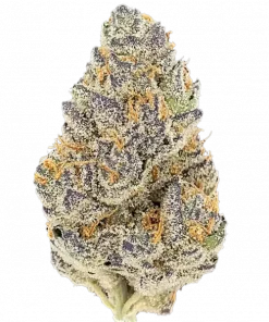 Blue Dream Auto, çam ve meyve aromalarıyla öne çıkan Sativa baskın bir türdür. Yüksek THC içeriğiyle yaratıcılığı artırır. Özelliklerini keşfedin.