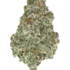 Blue Dream Full Term, yaban mersini aroması ve yüksek THC içeriğiyle bilinen sativa baskın türdür. Canlandırıcı etkilerini keşfedin ve hemen görüntüleyin.