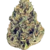 Blue Gelato, tatlı orman meyveleri aroması ve yüksek THC içeriğiyle bilinen Indica dominant bir türdür. Zihinsel ve fiziksel etkilerini keşfedin.