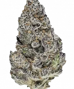 Blue Lobster, yaban mersini aroması ve yüksek THC içeriğiyle öne çıkan Indica baskın bir türdür. Benzersiz etkilerini ve genetik yapısını keşfedin.