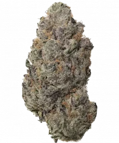 Blue Lotus S1, yakıtımsı ve meyvemsi aromalarıyla öne çıkan güçlü bir hibrit türdür. THC ile yoğun rahatlama sağlar. Genetik yapısını keşfedin.