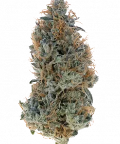 Blue Magic, tatlı ve baharatlı aromasıyla öne çıkan sativa baskın bir türdür. Stres ve ağrı giderme potansiyeliyle bilinir. Genetik yapısını keşfedin.