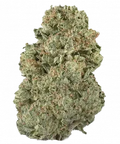 Blue Magic, yakıtımsı ve tatlı aromalarıyla öne çıkan sativa baskın bir türdür. Yüksek THC içeriğiyle yaratıcılığı artırır. Benzersiz genetik yapısını keşfedin.