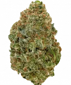 Blue Mahi, tatlı meyve aromaları ve yüksek THC içeriğiyle bilinen dengeli bir hibrit türdür. Enerjik etkilerini ve genetik yapısını keşfedin.