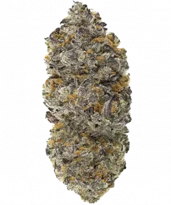 Blue Pavé, sert yakıtımsı aroması ve rahatlatıcı etkileriyle bilinen indica dominant bir türdür. Yüksek verimli genetik yapısını keşfedin ve detaylıca görüntüleyin.