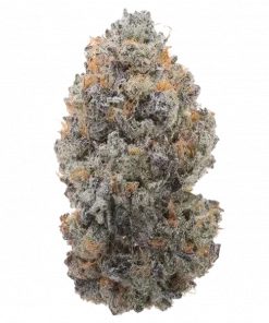 Blue Randylosa, tatlı meyve aromaları ve rahatlatıcı etkileriyle bilinen Indica baskın bir türdür. Depresyon ve stres için ideal. Genetik yapısını keşfedin.