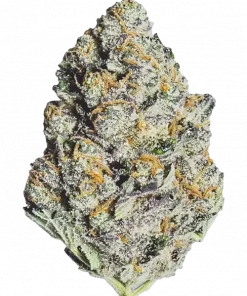 Blue Raspberry, ahududu aroması ve rahatlatıcı etkisiyle bilinen Indica dominant bir türdür. Ağrı ve stres giderme potansiyelini keşfedin. Hemen görüntüleyin.