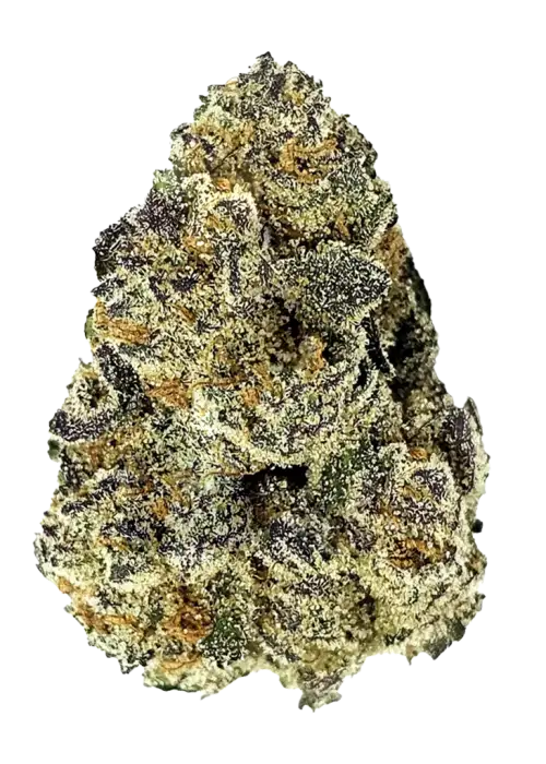 Blue Runtz, tatlı yaban mersini aroması ve rahatlatıcı etkileriyle bilinen bir Indica/Sativa hibritidir. Benzersiz genetik yapısını keşfedin ve detaylıca görüntüleyin.