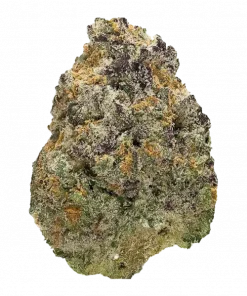 Blue Shamu, guava ve şerbet aromalı, THC ile ciğere vuran bir indica türüdür. Derin rahatlama ve uyuşukluk için hemen görüntüleyin.