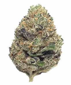 Blue Sherbert x Runtz, tatlı meyve aroması ve THC içeriğiyle öne çıkan Indica baskın bir türdür. Dengeli etkilerini ve genetik yapısını keşfedin.