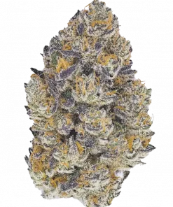 Blue Slush, belirgin yaban mersini aromasıyla öne çıkan dengeli bir hibrit türdür. Rahatlatıcı etkileriyle bilinen bu türü keşfedin ve genetik yapısını görüntüleyin.