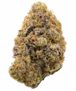 Blue Sunset, tatlı yaban mersini aromasıyla öne çıkan indica baskın bir türdür. Stres ve ağrı için ideal. Genetik yapısını ve etkilerini keşfedin.