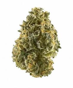 Blue Truffle, yaban mersini aromaları ve rahatlatıcı etkisiyle bilinen Indica baskın bir türdür. Bipolar bozukluk tedavisinde potansiyelini keşfedin. Hemen görüntüleyin.