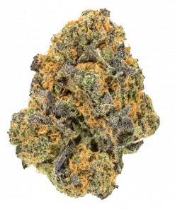 Blue Venom, çilek aromalı, rahatlatıcı ve yüksek THC'li Indica dominant türdür. G13 Labs genetiğini keşfedin ve etkilerini görüntüleyin.
